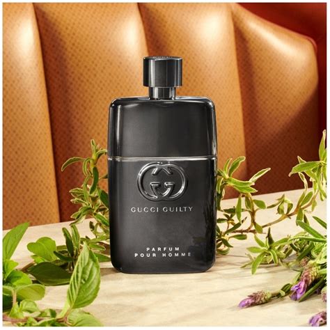 gucci guilty pour homme 50ml|gucci guilty for men fragrantica.